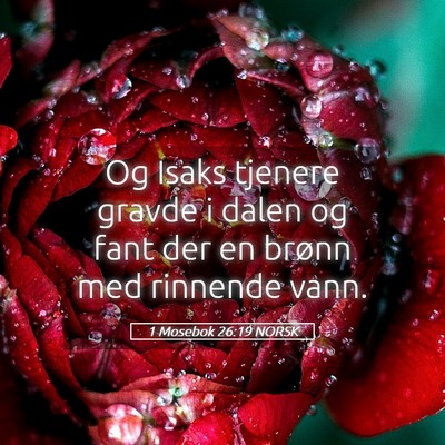 Picture 05 - 1 Mosebok 26:19 NORSK - Og Isaks tjenere gravde i dalen og fant der en - Bible Verse Picture
