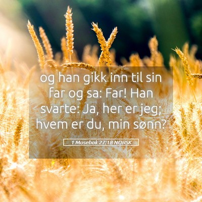 Picture 05 - 1 Mosebok 27:18 NORSK - og han gikk inn til sin far og sa: Far! Han - Bible Verse Picture
