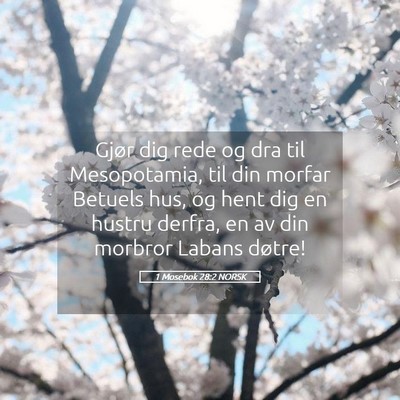 Picture 05 - 1 Mosebok 28:2 NORSK - Gjør dig rede og dra til Mesopotamia, til din - Bible Verse Picture