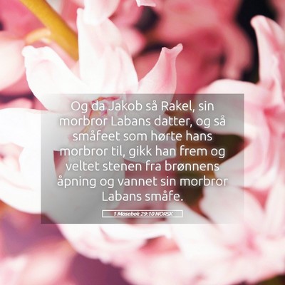 Picture 05 - 1 Mosebok 29:10 NORSK - Og da Jakob så Rakel, sin morbror Labans datter, - Bible Verse Picture