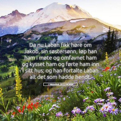 Picture 05 - 1 Mosebok 29:13 NORSK - Da nu Laban fikk høre om Jakob, sin - Bible Verse Picture