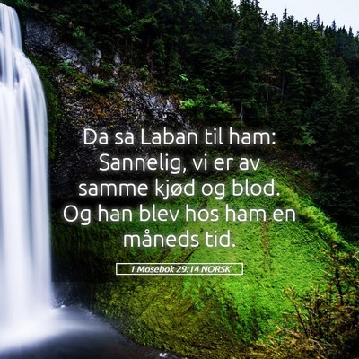 Picture 05 - 1 Mosebok 29:14 NORSK - Da sa Laban til ham: Sannelig, vi er av samme - Bible Verse Picture