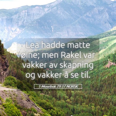Picture 05 - 1 Mosebok 29:17 NORSK - Lea hadde matte øine; men Rakel var vakker av - Bible Verse Picture