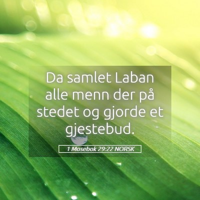 Picture 05 - 1 Mosebok 29:22 NORSK - Da samlet Laban alle menn der på stedet og - Bible Verse Picture