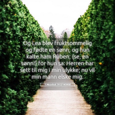 Picture 05 - 1 Mosebok 29:32 NORSK - Og Lea blev fruktsommelig og fødte en sønn, og - Bible Verse Picture
