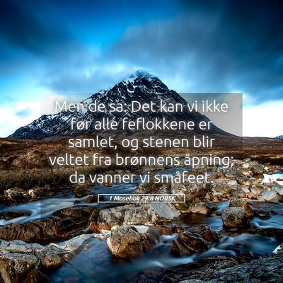 Picture 05 - 1 Mosebok 29:8 NORSK - Men de sa: Det kan vi ikke før alle feflokkene - Bible Verse Picture