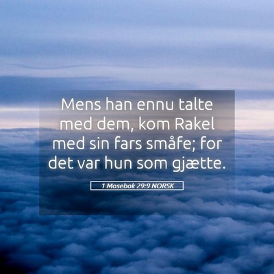 Picture 05 - 1 Mosebok 29:9 NORSK - Mens han ennu talte med dem, kom Rakel med sin - Bible Verse Picture