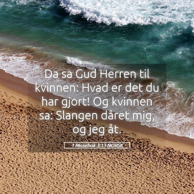 Picture 05 - 1 Mosebok 3:13 NORSK - Da sa Gud Herren til kvinnen: Hvad er det du har - Bible Verse Picture