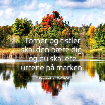 Picture 05 - 1 Mosebok 3:18 NORSK - Torner og tistler skal den bære dig, og du skal - Bible Verse Picture