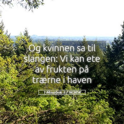 Picture 05 - 1 Mosebok 3:2 NORSK - Og kvinnen sa til slangen: Vi kan ete av frukten - Bible Verse Picture