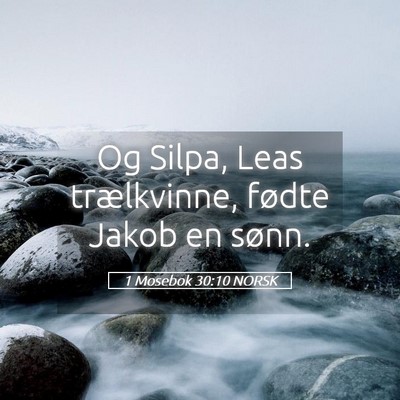 Picture 05 - 1 Mosebok 30:10 NORSK - Og Silpa, Leas trælkvinne, fødte Jakob en - Bible Verse Picture