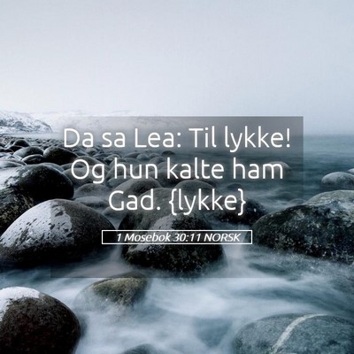 Picture 05 - 1 Mosebok 30:11 NORSK - Da sa Lea: Til lykke! Og hun kalte ham Gad. - Bible Verse Picture