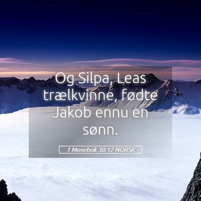 Picture 05 - 1 Mosebok 30:12 NORSK - Og Silpa, Leas trælkvinne, fødte Jakob ennu en - Bible Verse Picture