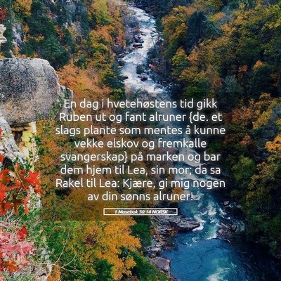Picture 05 - 1 Mosebok 30:14 NORSK - En dag i hvetehøstens tid gikk Ruben ut og fant - Bible Verse Picture