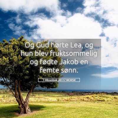 Picture 05 - 1 Mosebok 30:17 NORSK - Og Gud hørte Lea, og hun blev fruktsommelig og - Bible Verse Picture