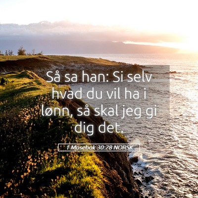 Picture 05 - 1 Mosebok 30:28 NORSK - Så sa han: Si selv hvad du vil ha i lønn, så - Bible Verse Picture