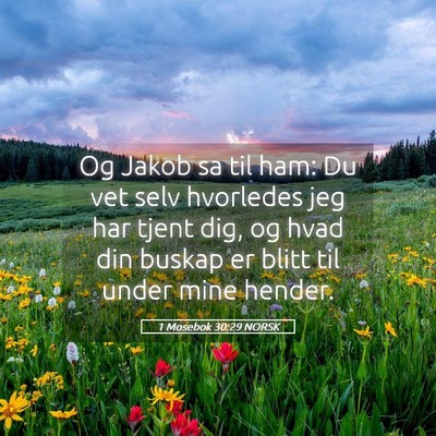 Picture 05 - 1 Mosebok 30:29 NORSK - Og Jakob sa til ham: Du vet selv hvorledes jeg - Bible Verse Picture