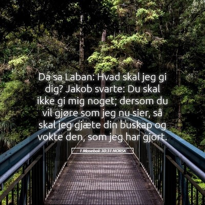 Picture 05 - 1 Mosebok 30:31 NORSK - Da sa Laban: Hvad skal jeg gi dig? Jakob svarte: - Bible Verse Picture