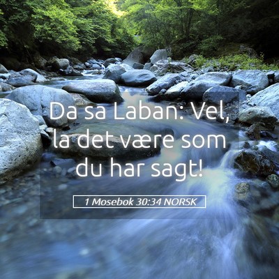 Picture 05 - 1 Mosebok 30:34 NORSK - Da sa Laban: Vel, la det være som du har - Bible Verse Picture