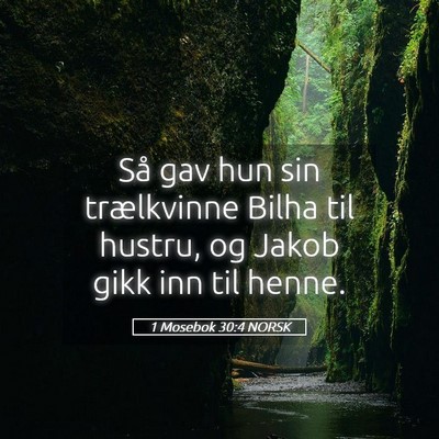Picture 05 - 1 Mosebok 30:4 NORSK - Så gav hun sin trælkvinne Bilha til hustru, og - Bible Verse Picture