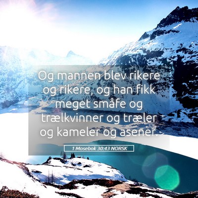 Picture 05 - 1 Mosebok 30:43 NORSK - Og mannen blev rikere og rikere, og han fikk - Bible Verse Picture