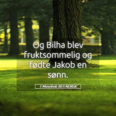 Picture 05 - 1 Mosebok 30:5 NORSK - Og Bilha blev fruktsommelig og fødte Jakob en - Bible Verse Picture
