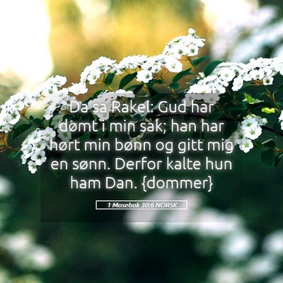 Picture 05 - 1 Mosebok 30:6 NORSK - Da sa Rakel: Gud har dømt i min sak; han har - Bible Verse Picture