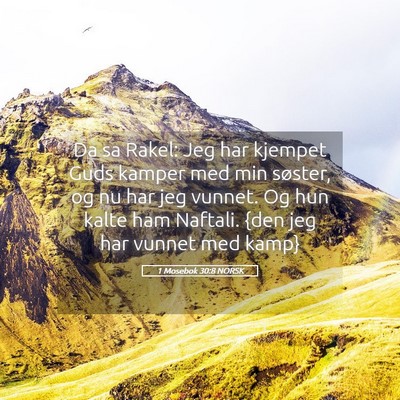 Picture 05 - 1 Mosebok 30:8 NORSK - Da sa Rakel: Jeg har kjempet Guds kamper med min - Bible Verse Picture