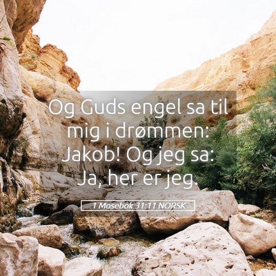 Picture 05 - 1 Mosebok 31:11 NORSK - Og Guds engel sa til mig i drømmen: Jakob! Og - Bible Verse Picture