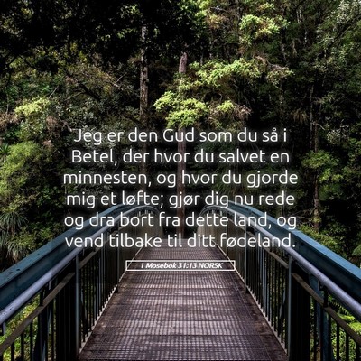 Picture 05 - 1 Mosebok 31:13 NORSK - Jeg er den Gud som du så i Betel, der hvor du - Bible Verse Picture