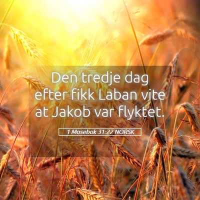Picture 05 - 1 Mosebok 31:22 NORSK - Den tredje dag efter fikk Laban vite at Jakob var - Bible Verse Picture