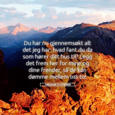 Picture 05 - 1 Mosebok 31:37 NORSK - Du har nu gjennemsøkt alt det jeg har; hvad fant - Bible Verse Picture