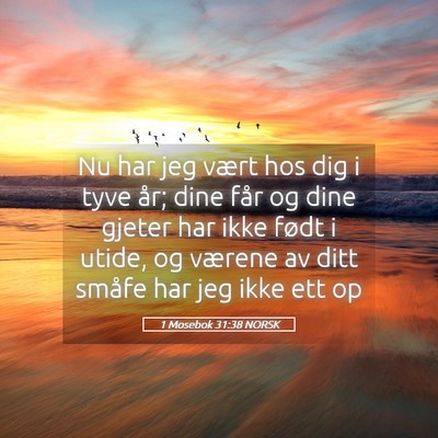 Picture 05 - 1 Mosebok 31:38 NORSK - Nu har jeg vært hos dig i tyve år; dine får og - Bible Verse Picture