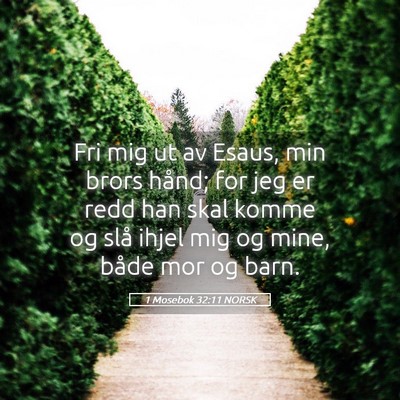 Picture 05 - 1 Mosebok 32:11 NORSK - Fri mig ut av Esaus, min brors hånd; for jeg er - Bible Verse Picture