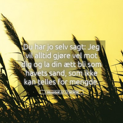 Picture 05 - 1 Mosebok 32:12 NORSK - Du har jo selv sagt: Jeg vil alltid gjøre vel - Bible Verse Picture