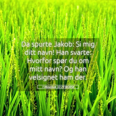 Picture 05 - 1 Mosebok 32:29 NORSK - Da spurte Jakob: Si mig ditt navn! Han svarte: - Bible Verse Picture