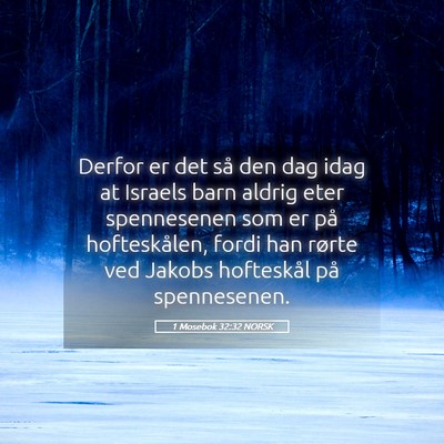 Picture 05 - 1 Mosebok 32:32 NORSK - Derfor er det så den dag idag at Israels barn - Bible Verse Picture