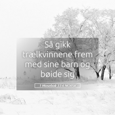 Picture 05 - 1 Mosebok 33:6 NORSK - Så gikk trælkvinnene frem med sine barn og - Bible Verse Picture