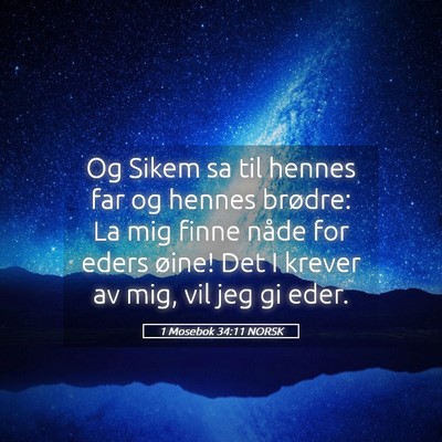 Picture 05 - 1 Mosebok 34:11 NORSK - Og Sikem sa til hennes far og hennes brødre: La - Bible Verse Picture