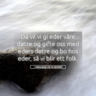 Picture 05 - 1 Mosebok 34:16 NORSK - Da vil vi gi eder våre døtre og gifte oss med - Bible Verse Picture