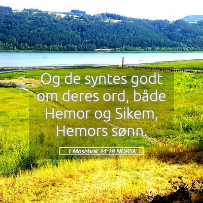 Picture 05 - 1 Mosebok 34:18 NORSK - Og de syntes godt om deres ord, både Hemor og - Bible Verse Picture