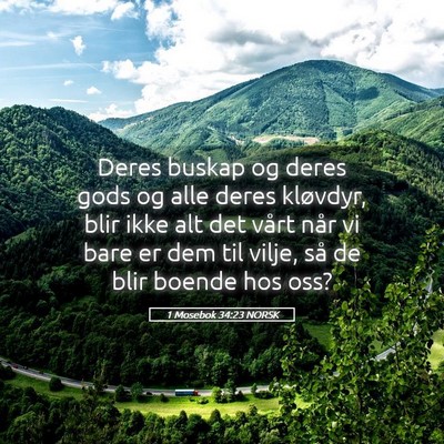 Picture 05 - 1 Mosebok 34:23 NORSK - Deres buskap og deres gods og alle deres - Bible Verse Picture