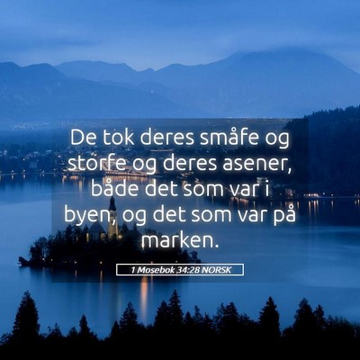 Picture 05 - 1 Mosebok 34:28 NORSK - De tok deres småfe og storfe og deres asener, - Bible Verse Picture