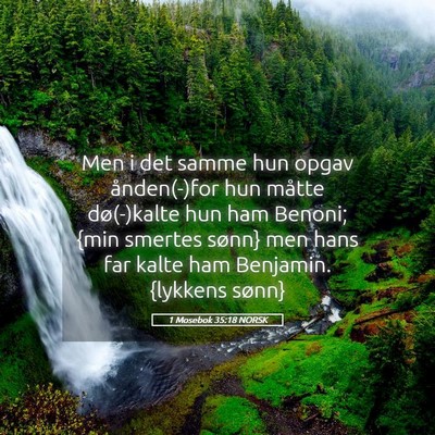 Picture 05 - 1 Mosebok 35:18 NORSK - Men i det samme hun opgav ånden(-)for hun måtte - Bible Verse Picture