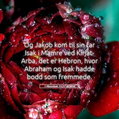 Picture 05 - 1 Mosebok 35:27 NORSK - Og Jakob kom til sin far Isak i Mamre ved - Bible Verse Picture