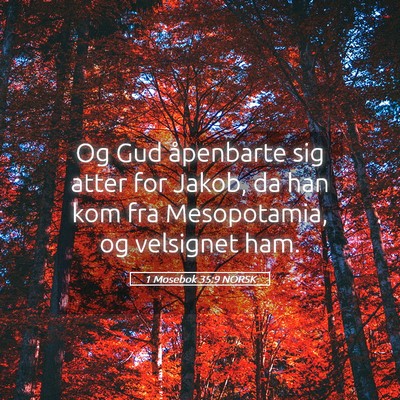 Picture 05 - 1 Mosebok 35:9 NORSK - Og Gud åpenbarte sig atter for Jakob, da han kom - Bible Verse Picture