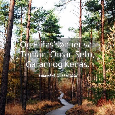 Picture 05 - 1 Mosebok 36:11 NORSK - Og Elifas'sønner var Teman, Omar, Sefo, Gatam og - Bible Verse Picture