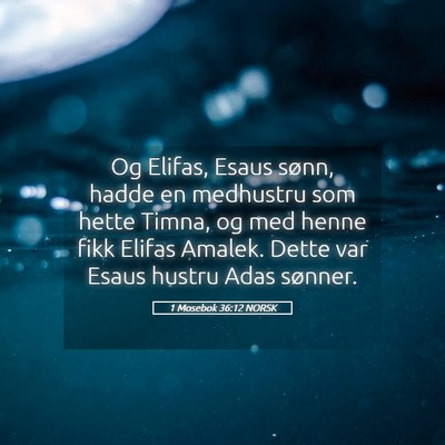 Picture 05 - 1 Mosebok 36:12 NORSK - Og Elifas, Esaus sønn, hadde en medhustru som - Bible Verse Picture