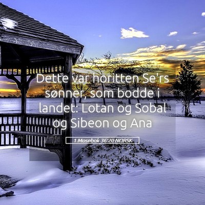 Picture 05 - 1 Mosebok 36:20 NORSK - Dette var horitten Se'rs sønner, som bodde i - Bible Verse Picture