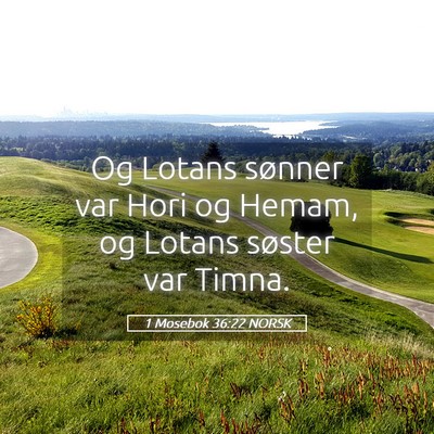 Picture 05 - 1 Mosebok 36:22 NORSK - Og Lotans sønner var Hori og Hemam, og Lotans - Bible Verse Picture